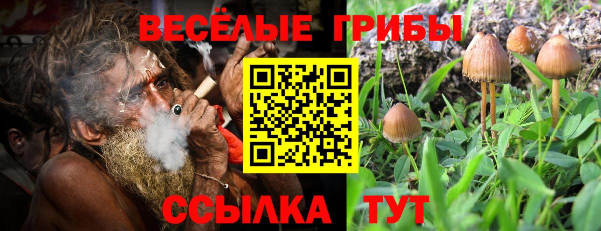 Псилоцибиновые грибы прущие грибы  Вход с VPN  Шахты 